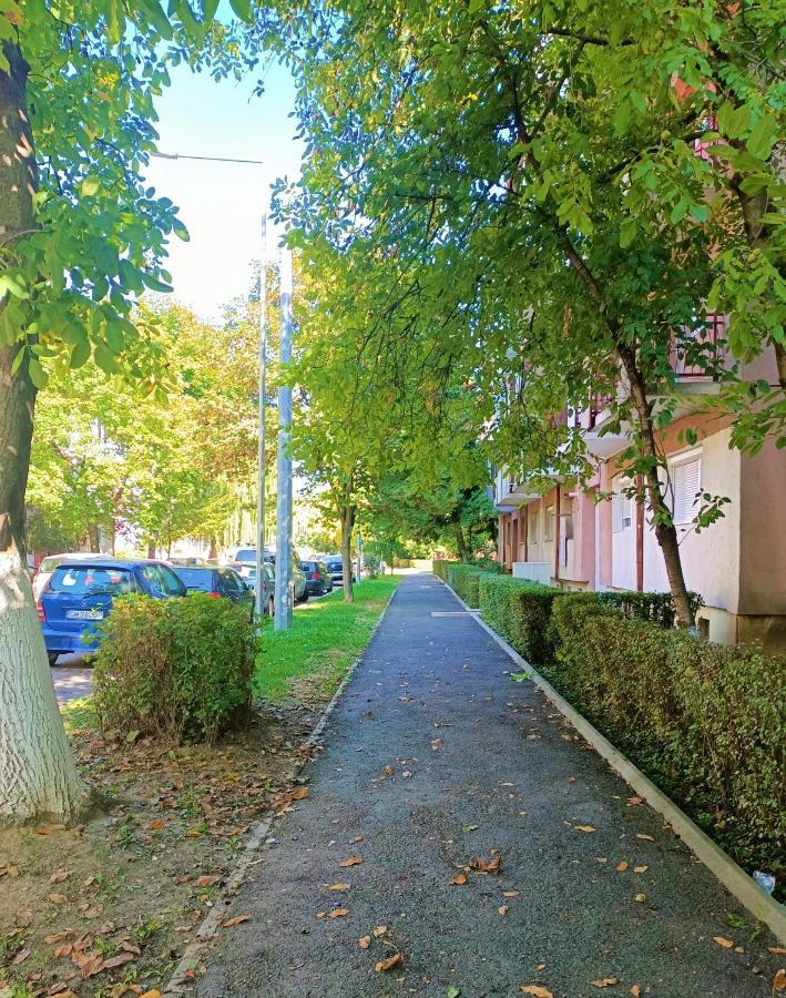 Caserom Studio Máréfalva Kültér fotó